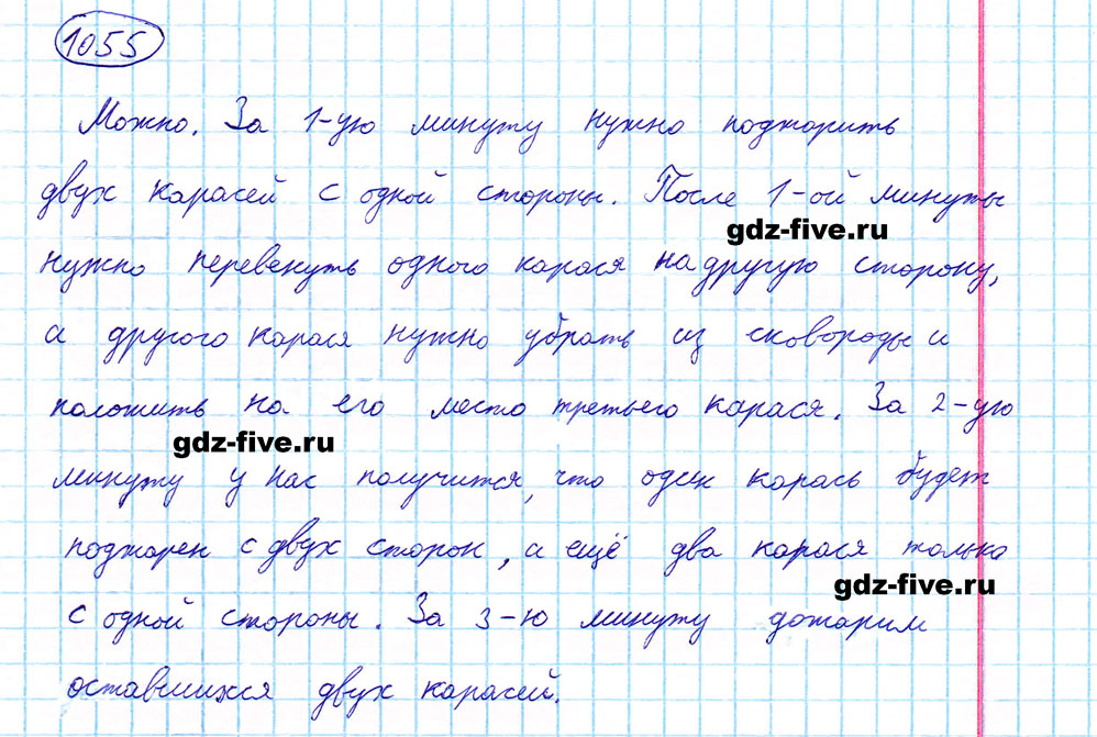 гдз решебник онлайн по математике 5 класс номер задача 1055 автор Мерзляк, Полонский, Якир
